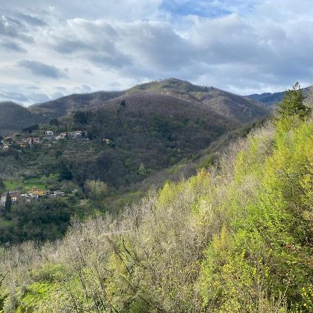 Casa Vacanze Giuliana Villore Esterno foto