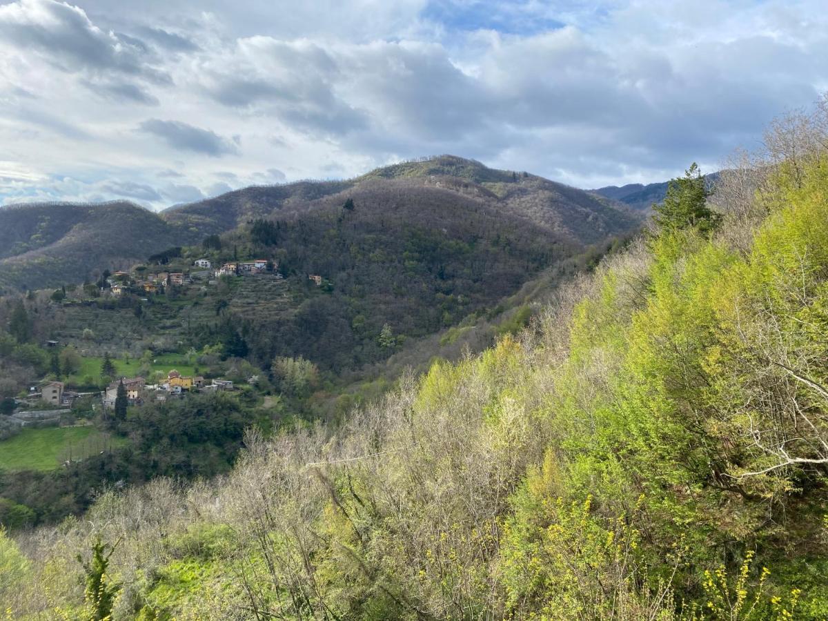 Casa Vacanze Giuliana Villore Esterno foto